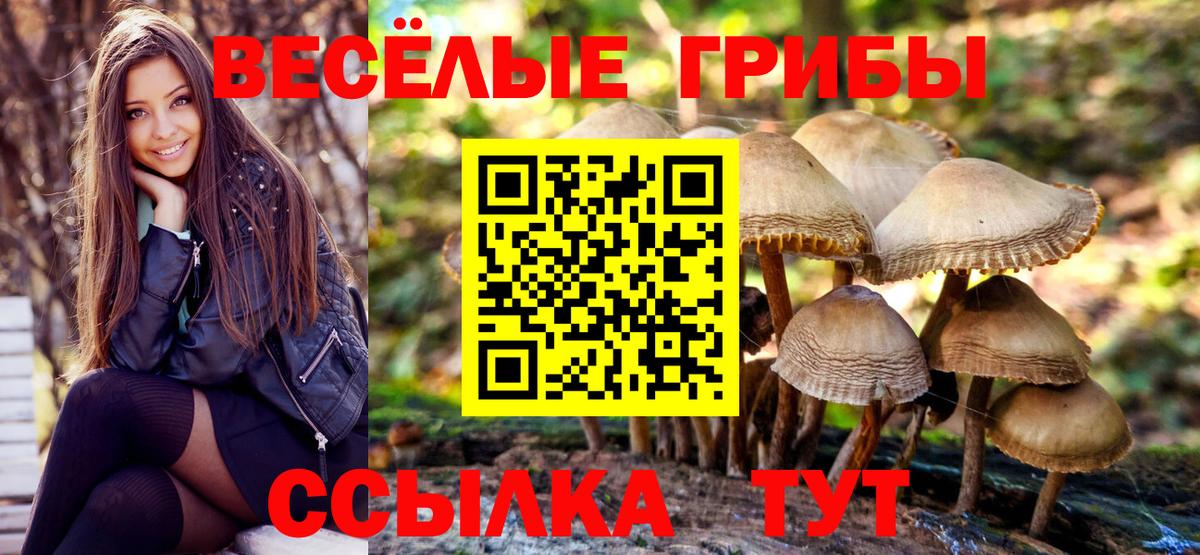 Галлюциногенные грибы Psilocybe  Вход с VPN  Морозовск 